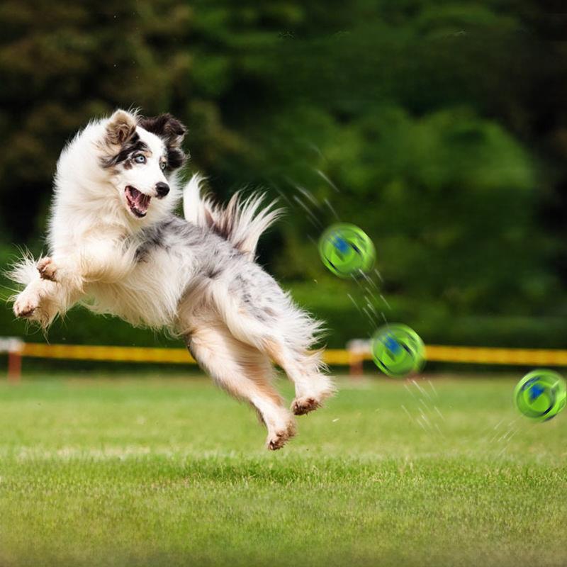 Interactive Giggle Sound Pet Ball