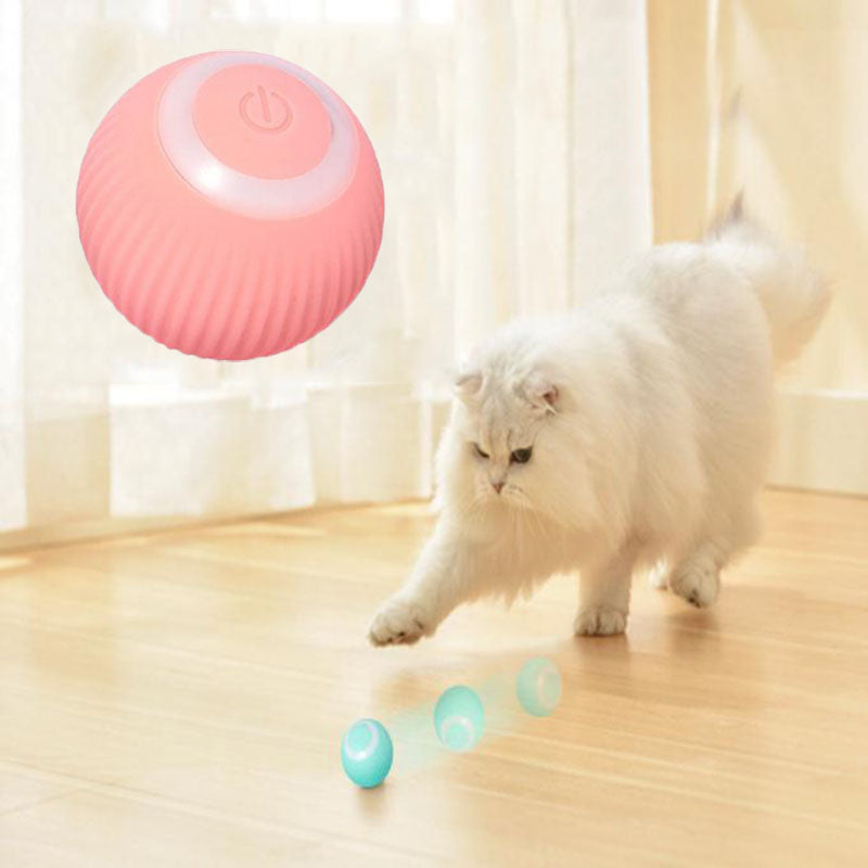 Smart Rolling Amusement Ball